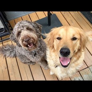 Meet your Posher, Grace